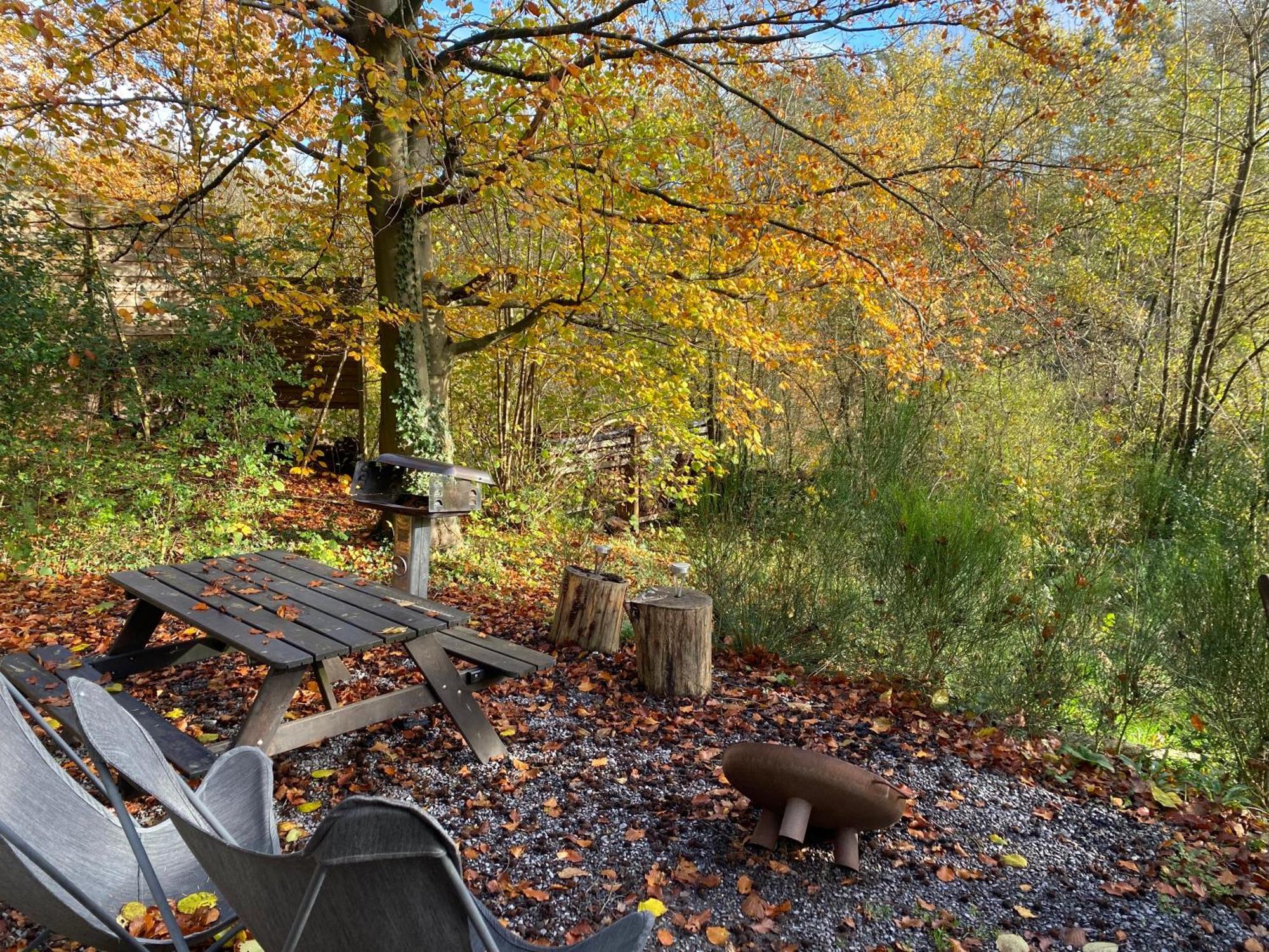 Chalet Tropical Avec Bain A Bulles - In The Woods Gesves エクステリア 写真